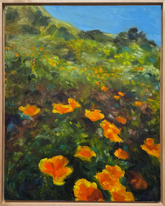 Field of poppies #1