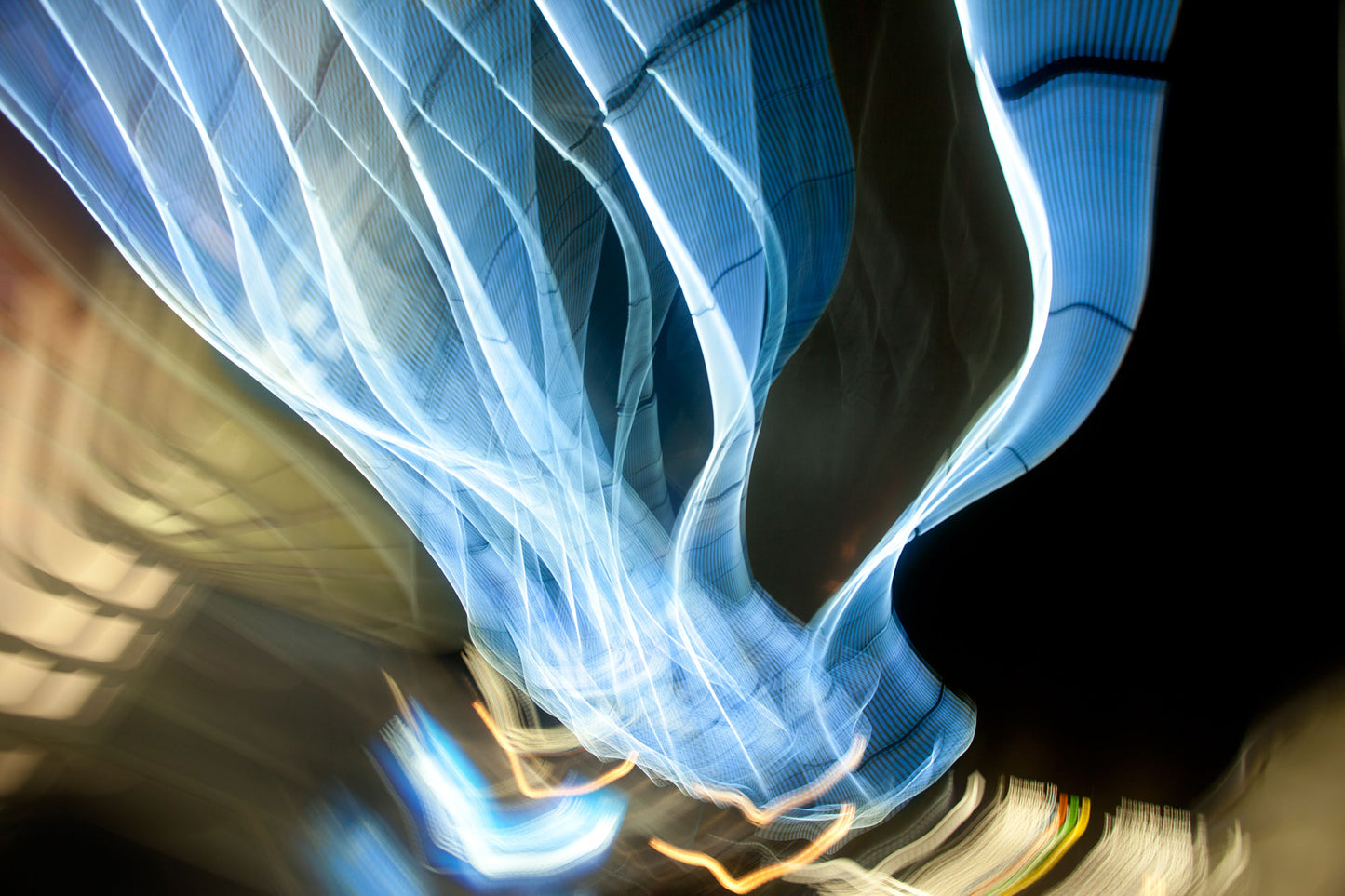 Motion Studies