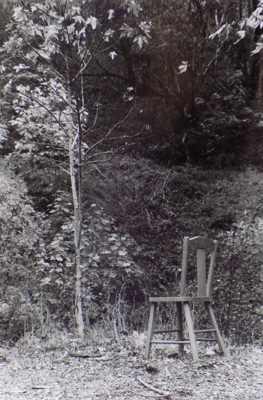 Pandemic Chair Series: Chair #8