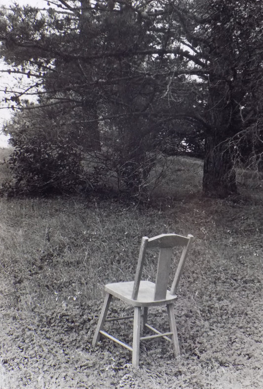 Pandemic Chair Series: Chair #18