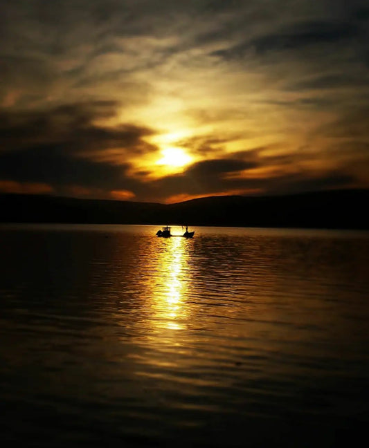 Sunset at Hog Island