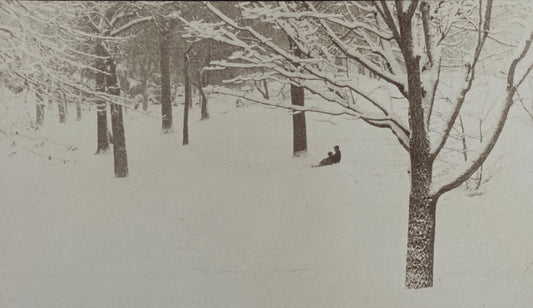 The Loneliness of Winter, Central Park