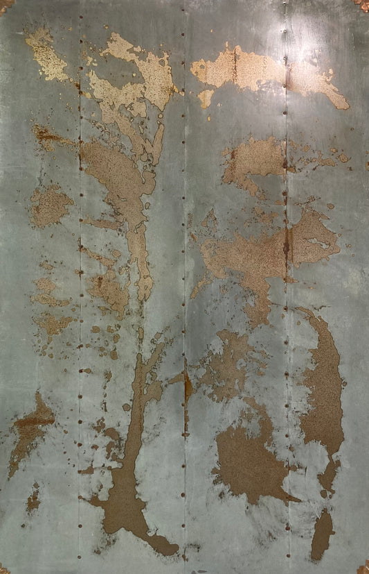 new lands of the Anthopocene