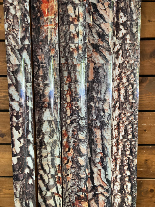 FIVE TREES: Pino Romano