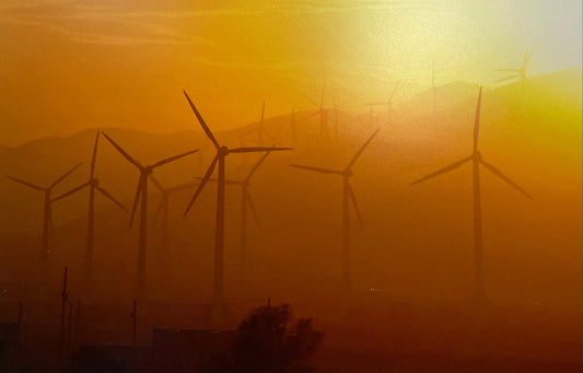 Wind Farm, Palm Desert
