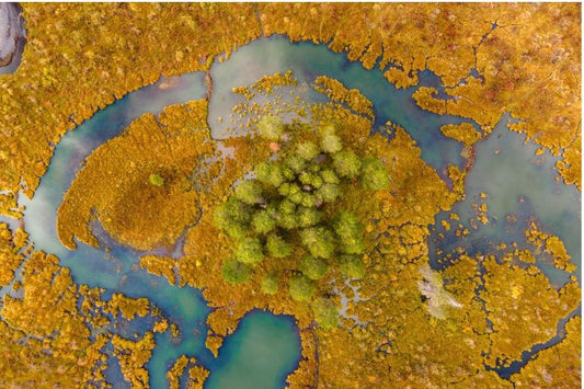 Landscapes in Flux 2