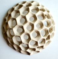 Diatoms 3