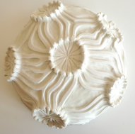 Diatoms 2