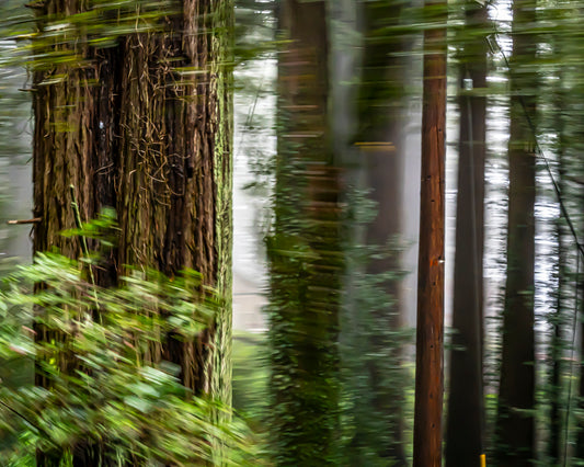 Green Forest 5 Metal Print