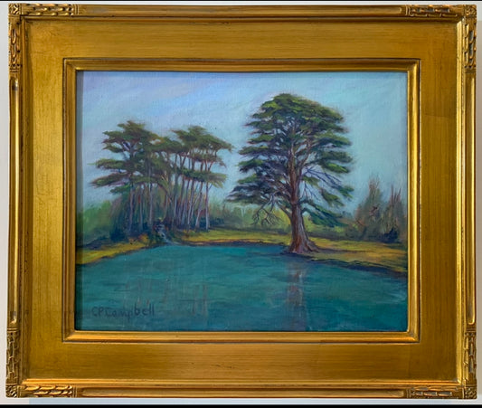 Metson Lake Stout Cypress