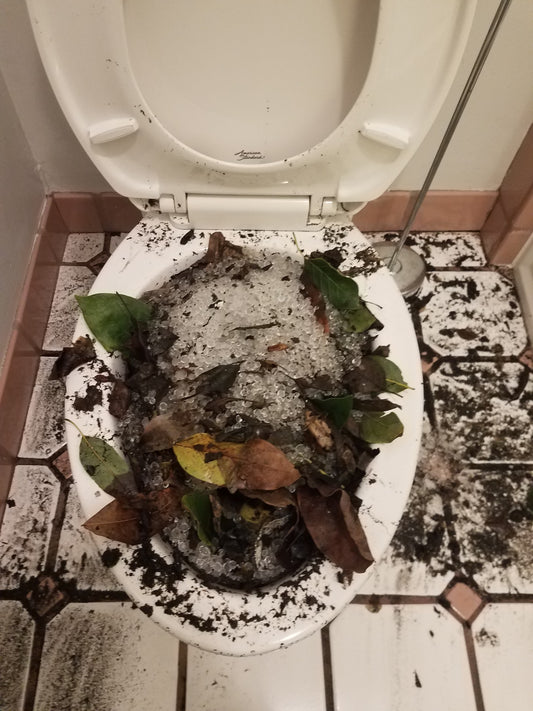 Mother Nature's Ice Bucket