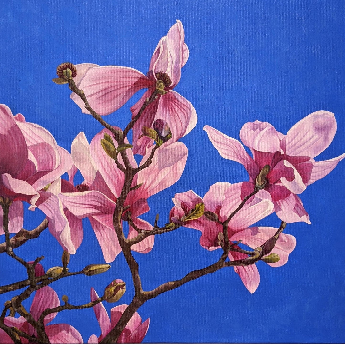 Magnolia; Endurance