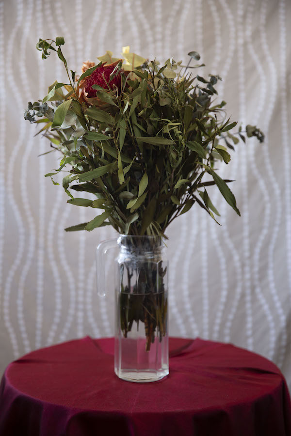 The Still Life: A Quarantine Diary Day 14