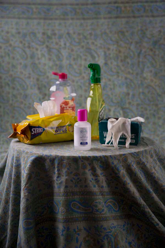 The Still Life: A Quarantine Diary Day 2