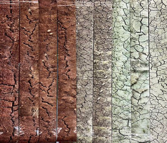 EAT ME, DRINK ME: TERRA