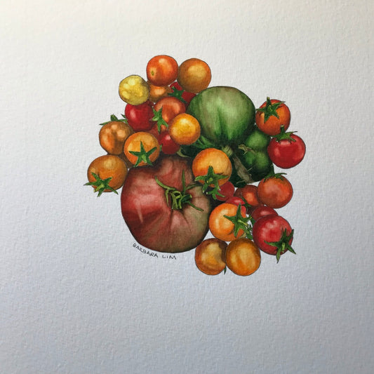 Tomatoes of Radical Family Farms #18