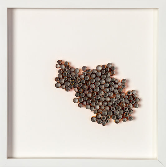 Mylar Reveries Series, Delicacy