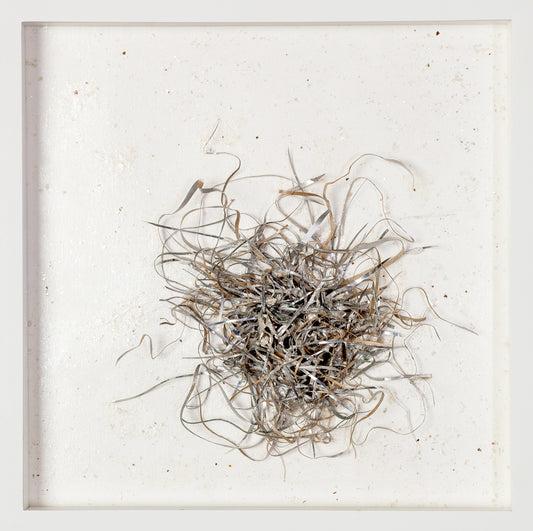 Mylar Reveries Series, Silver Reef