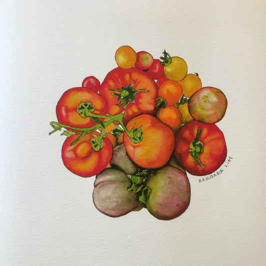 Tomatoes of Radical Family Farms #19