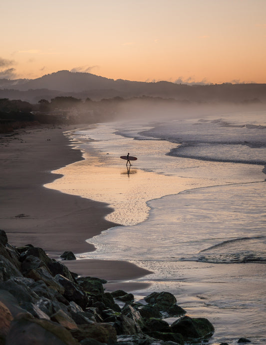 Surf Peace 3