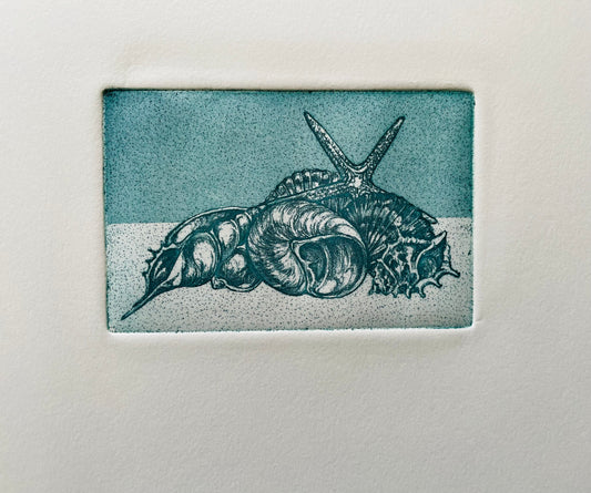 Coquillage #2