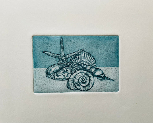 Coquillage #1
