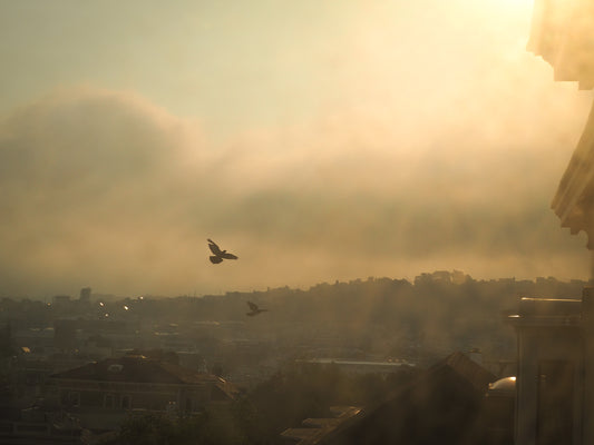 Above Valencia Street, August 2020