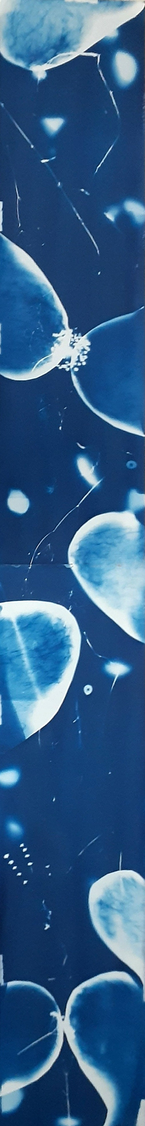 Out There Is In Here